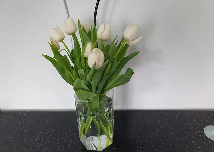 Apartement Weingarten Lägenhet